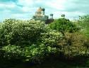 casa_loma